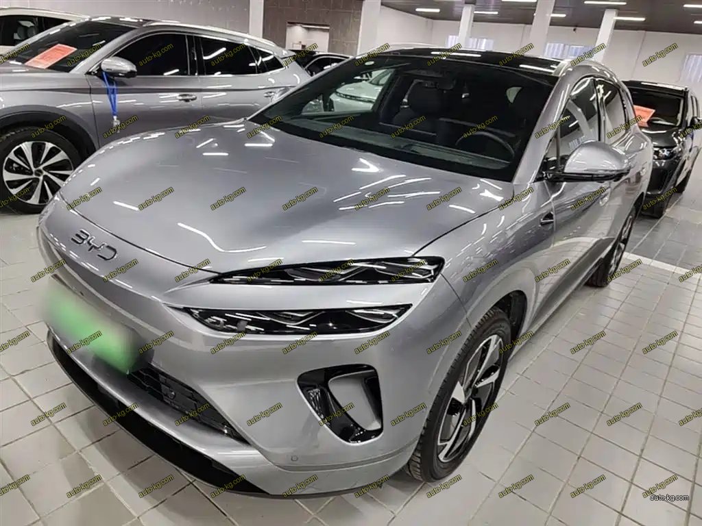BYD 海狮06 2025