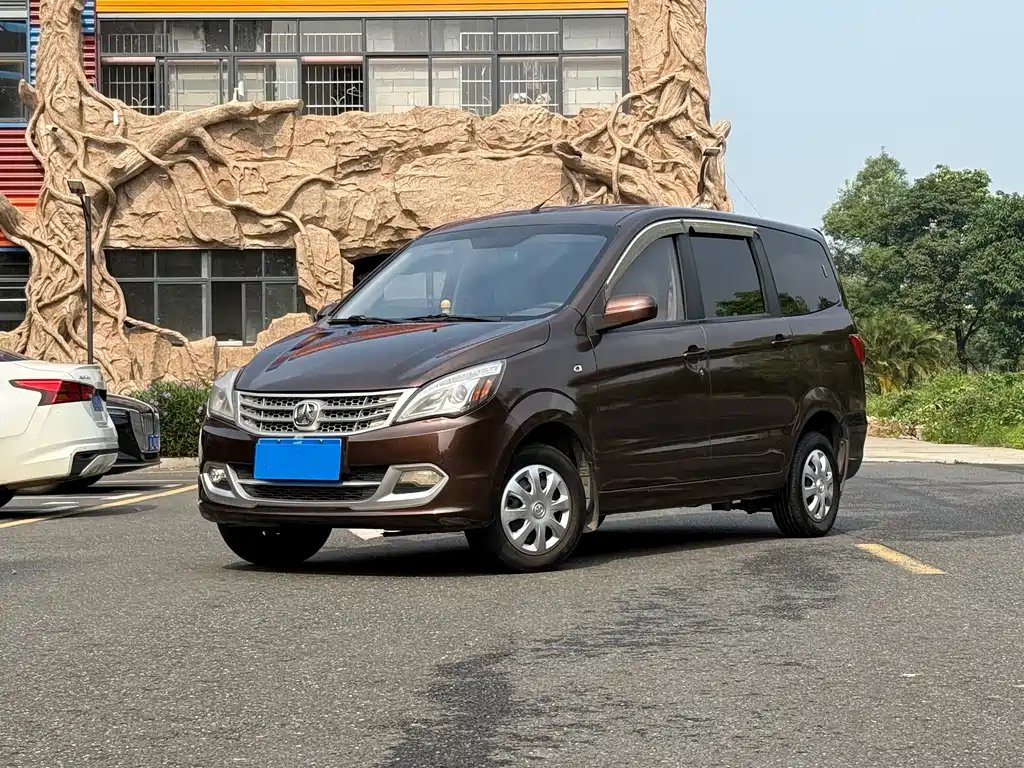 BAW Weiwang M20 2017