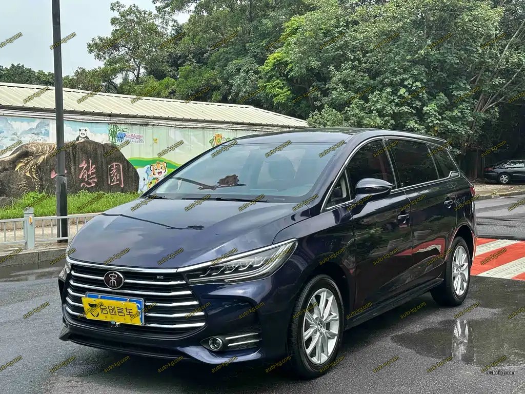 BYD MAX 2019