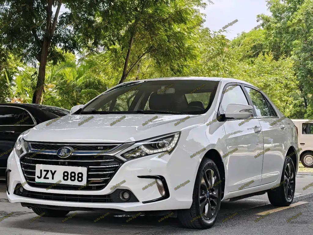 BYD Qin NEV 2018