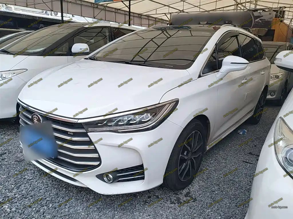 BYD MAX 2018