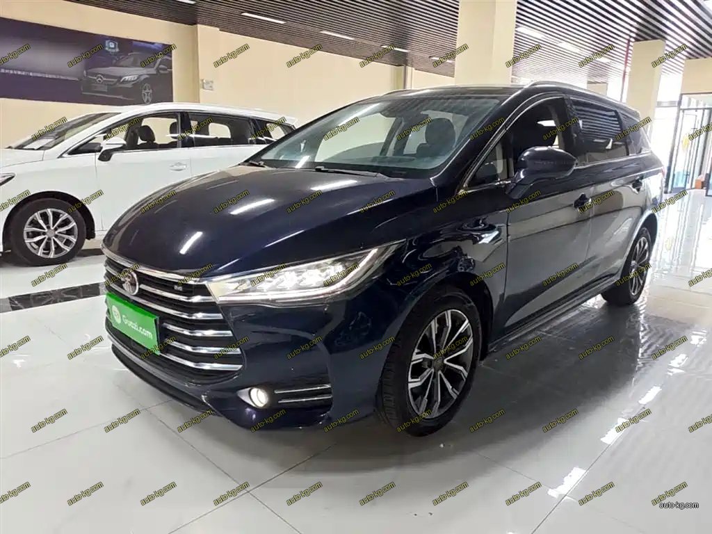 BYD MAX 2019