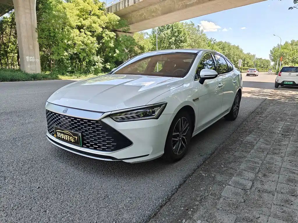 BYD Qin PLUS 2021