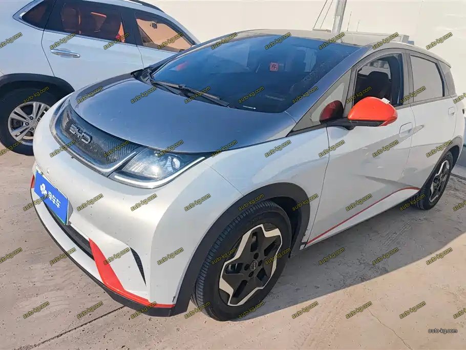 BYD Dolphin 2021