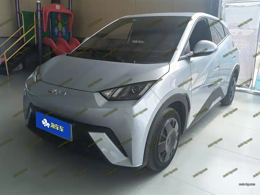 BYD Seagull 2024