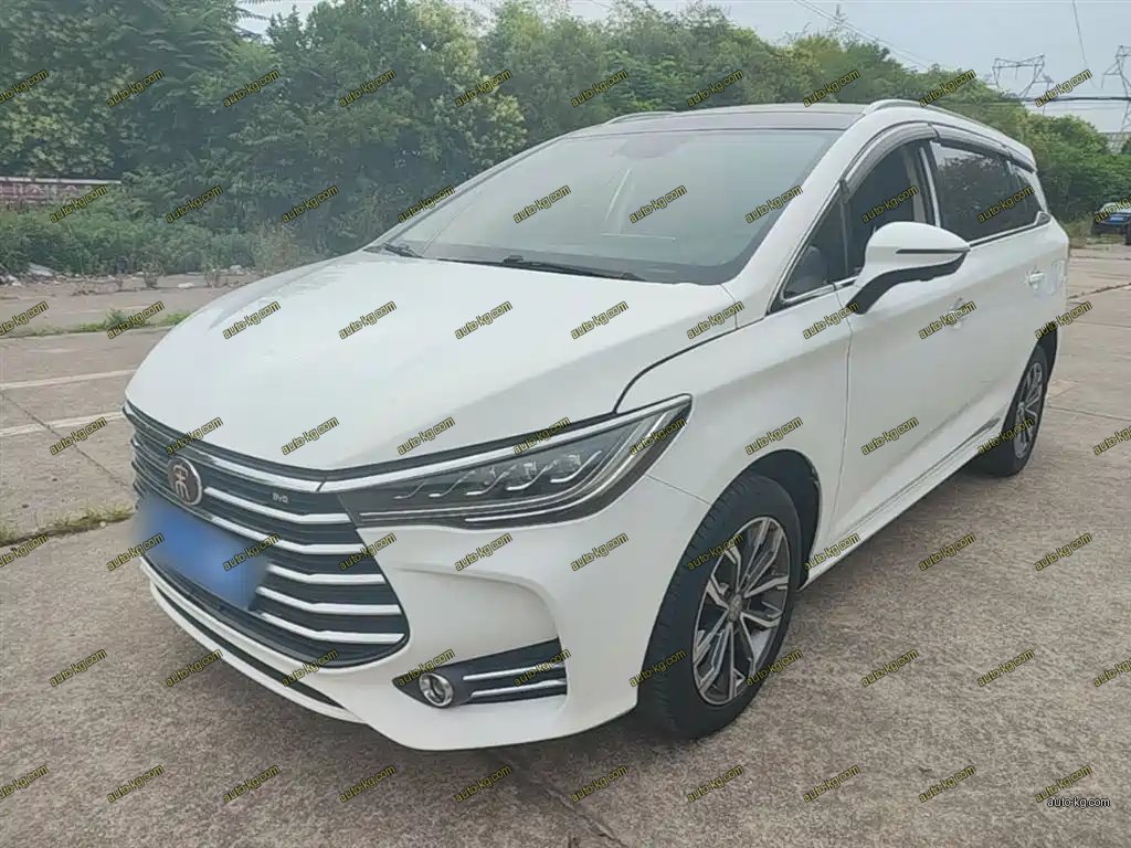 BYD MAX 2021