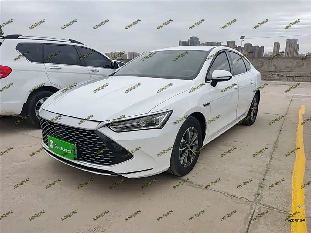 BYD Qin PLUS 2023