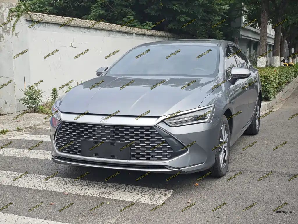 BYD Qin PLUS 2023