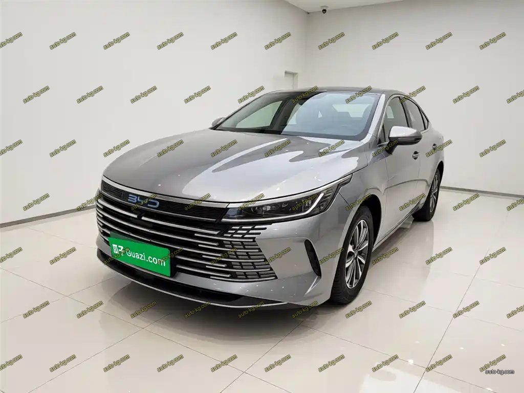 BYD Destroyer 05 2022
