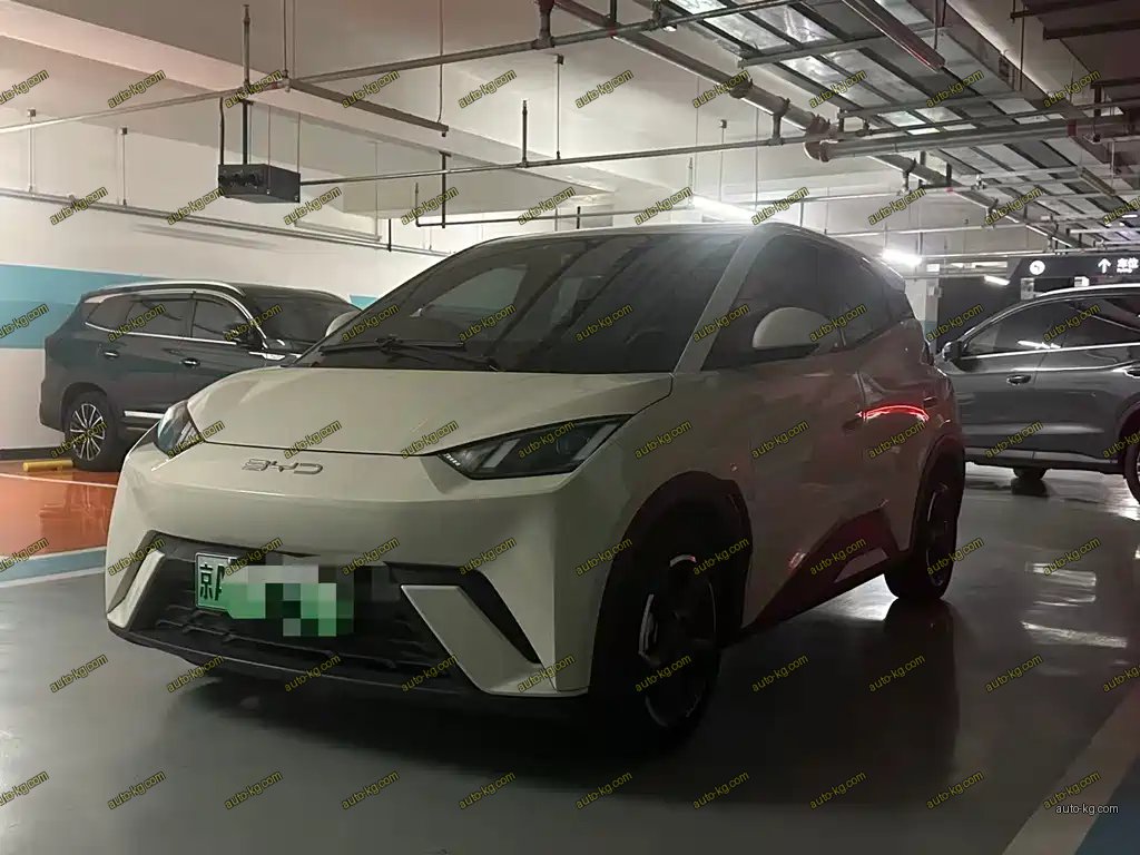 BYD Seagull 2023