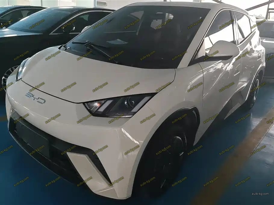 BYD Seagull 2023