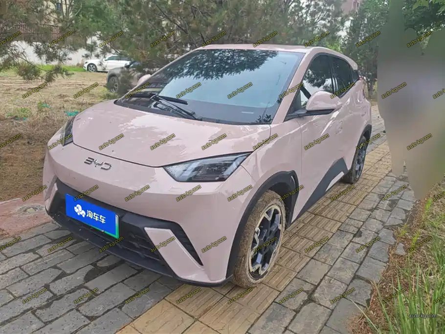 BYD Seagull 2024