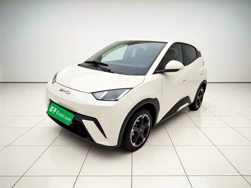 BYD Seagull 2024