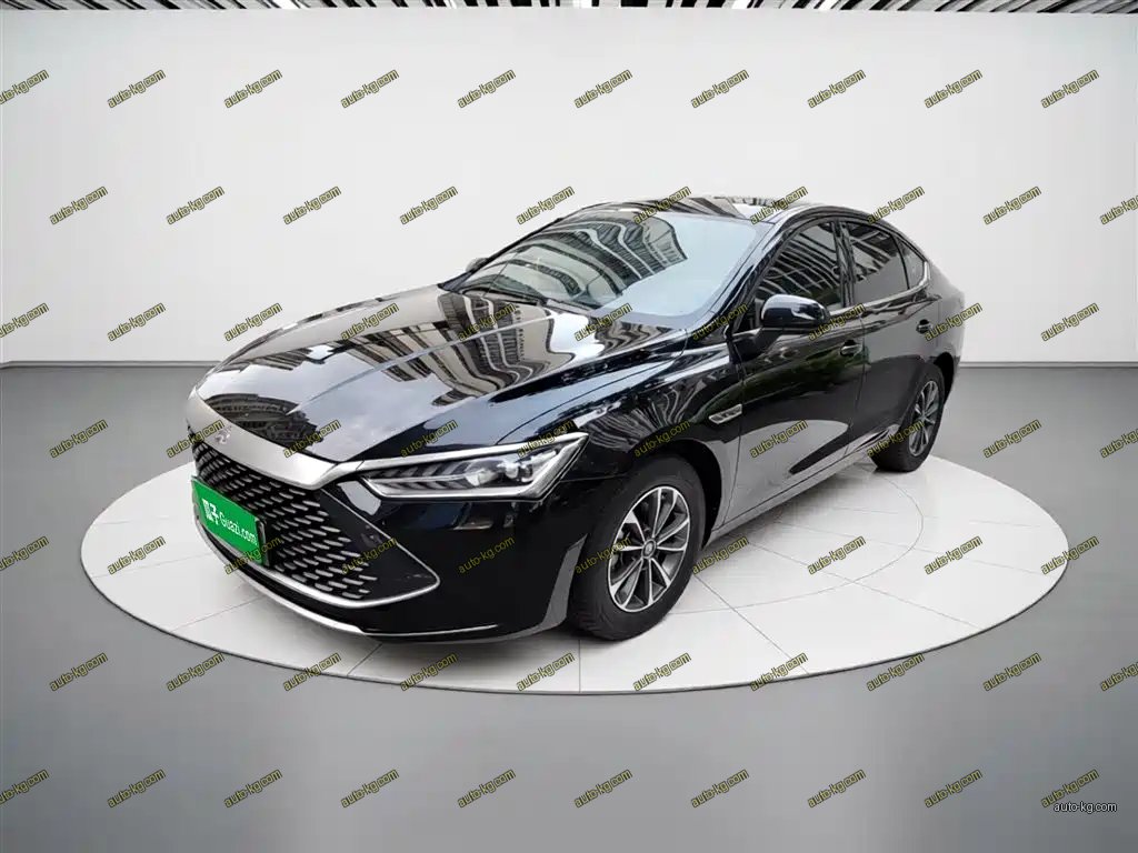 BYD Qin PLUS 2024