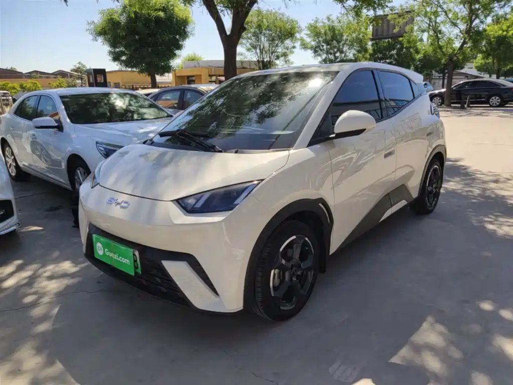 BYD Seagull 2024