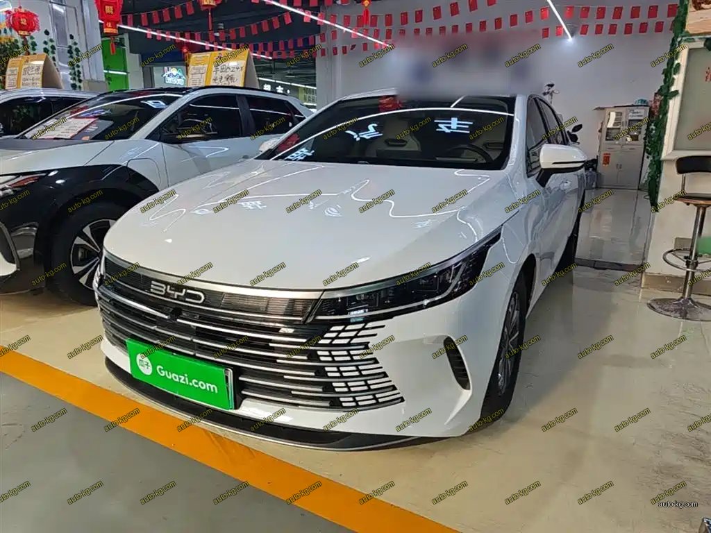 BYD Destroyer 05 2024