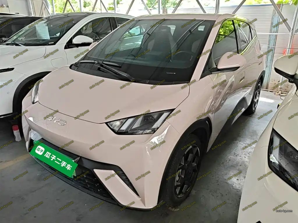 BYD Seagull 2024