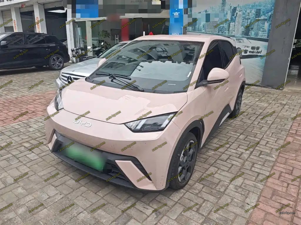BYD Seagull 2025