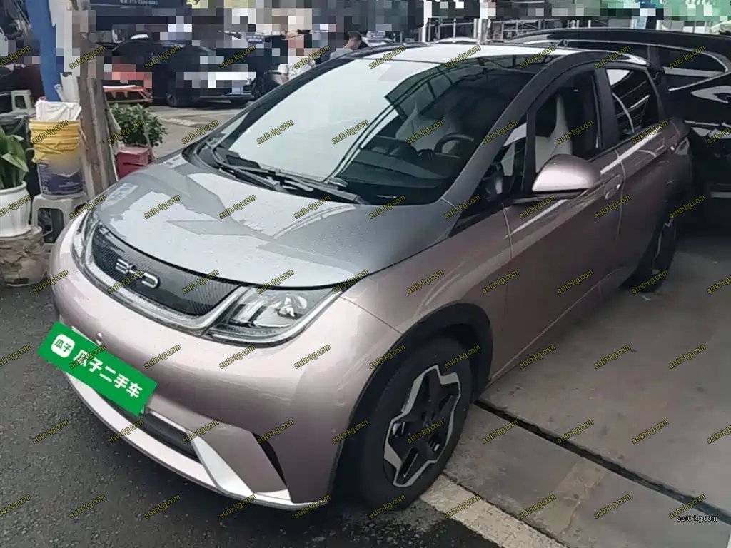 BYD Dolphin 2022