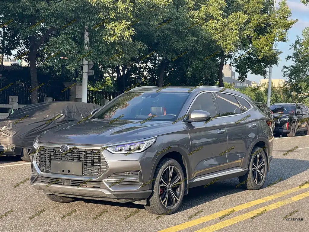 BYD PLUS 2021