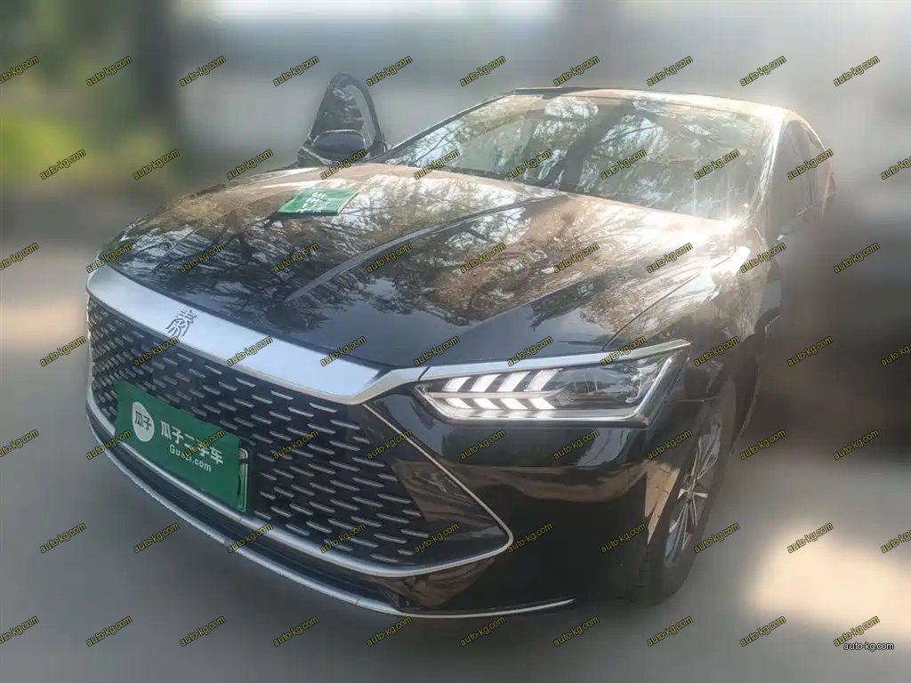 BYD Qin PLUS 2025