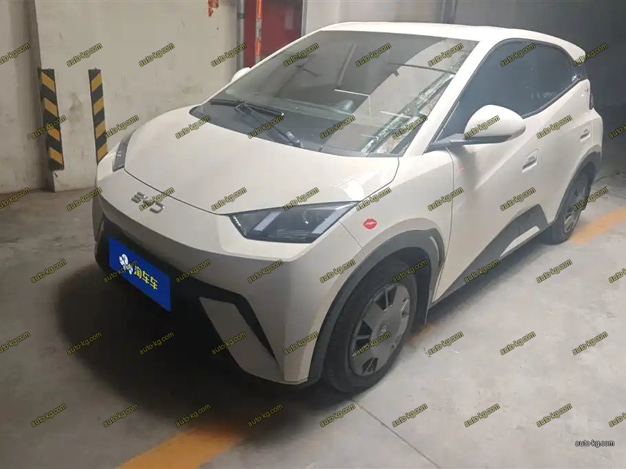 BYD Seagull 2024