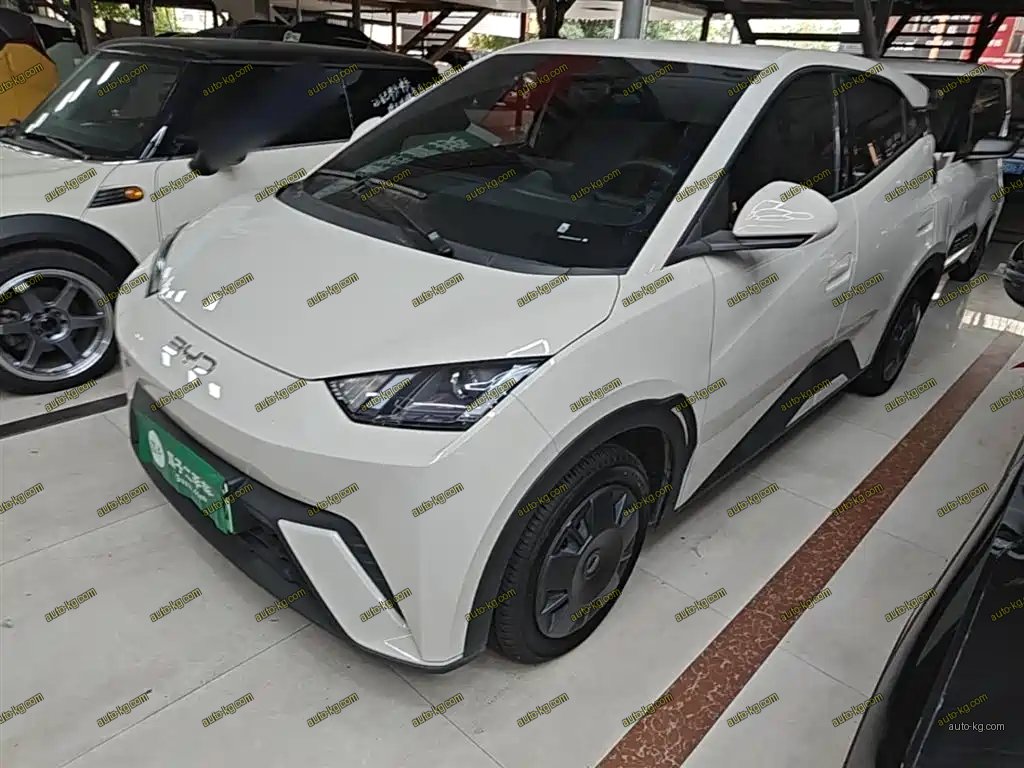 BYD Seagull 2024