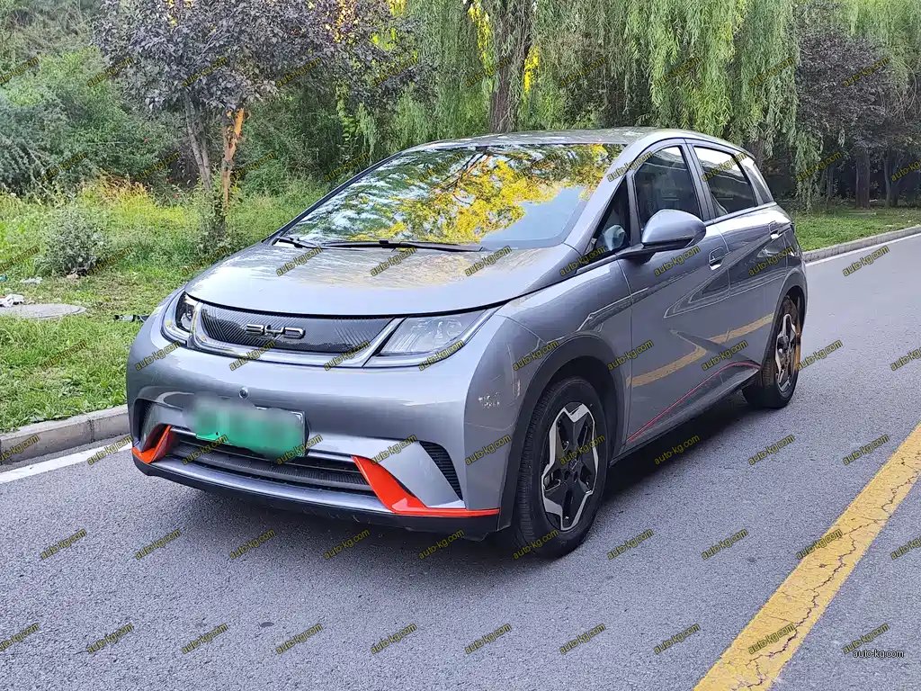 BYD Dolphin 2022
