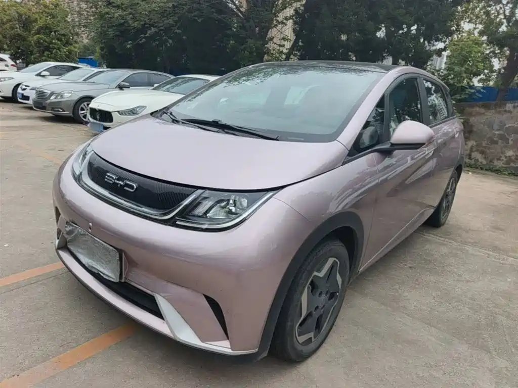 BYD Dolphin 2022