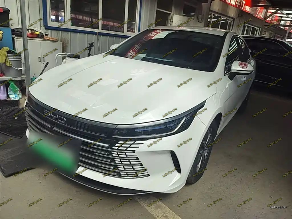 BYD Destroyer 05 2024