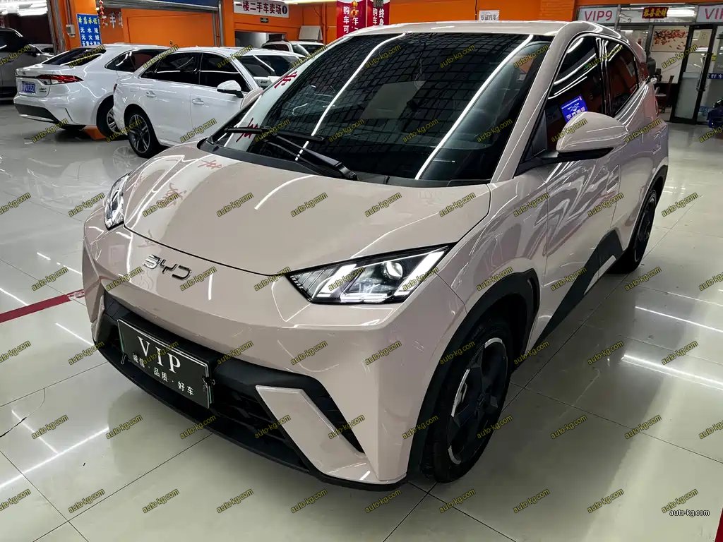 BYD Seagull 2024