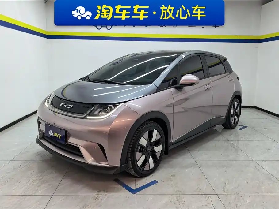 BYD Dolphin 2021