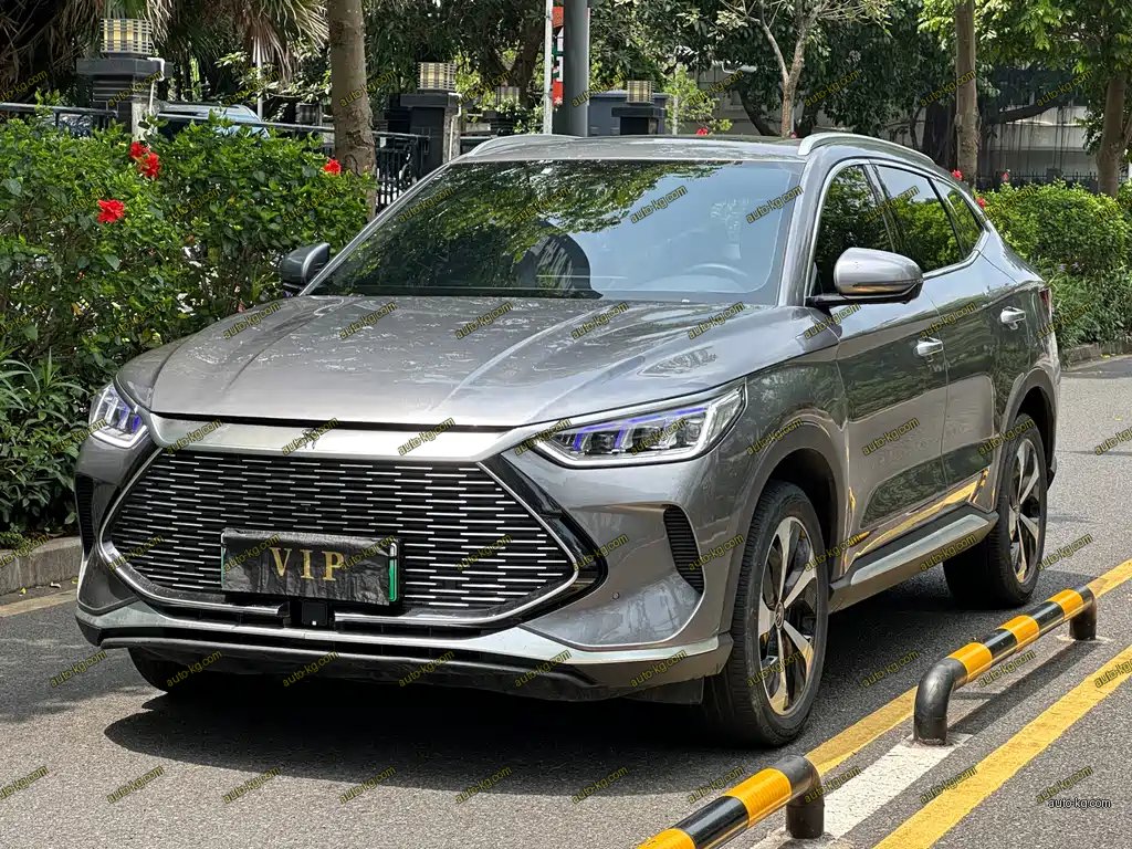 BYD PLUS New Energy 2022