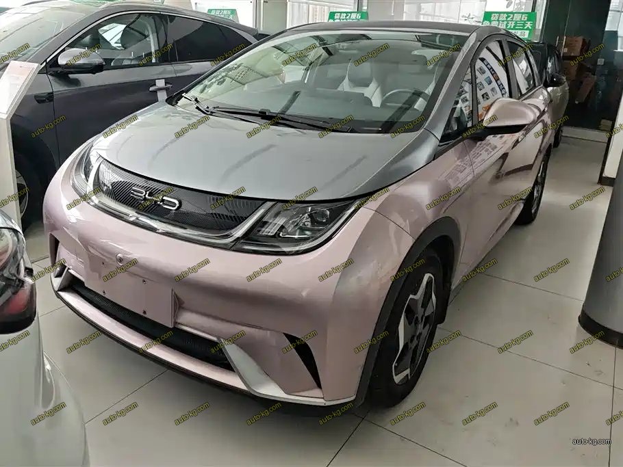 BYD Dolphin 2022