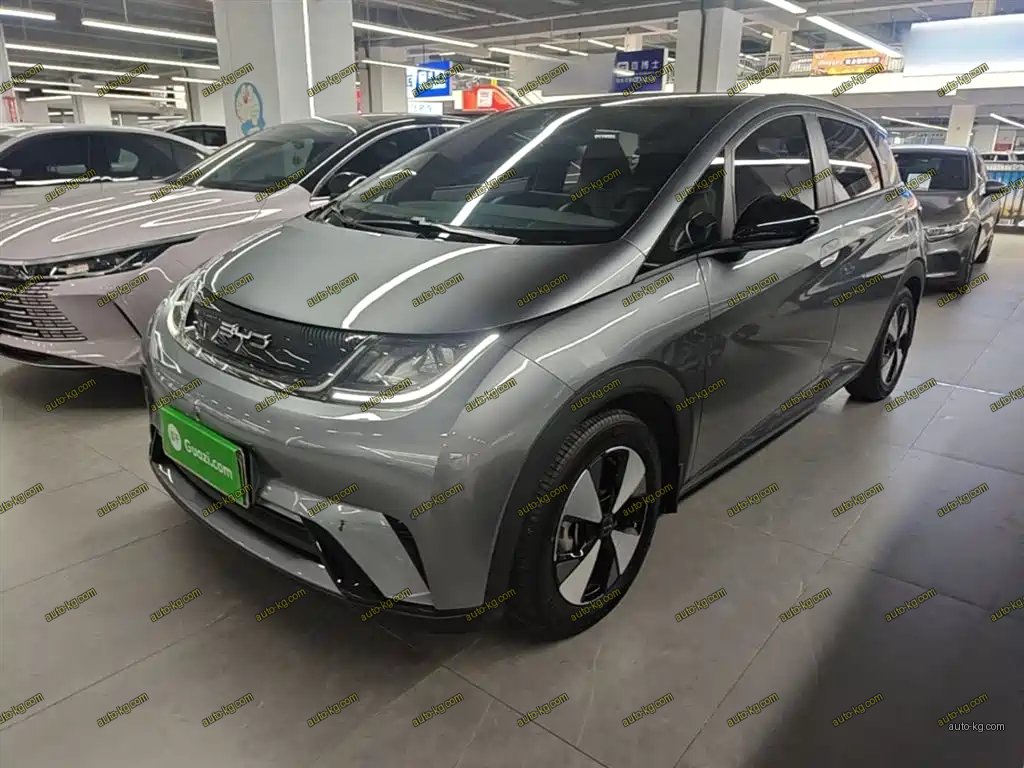 BYD Dolphin 2023