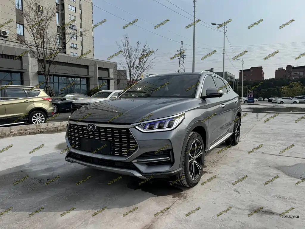 BYD PLUS 2021