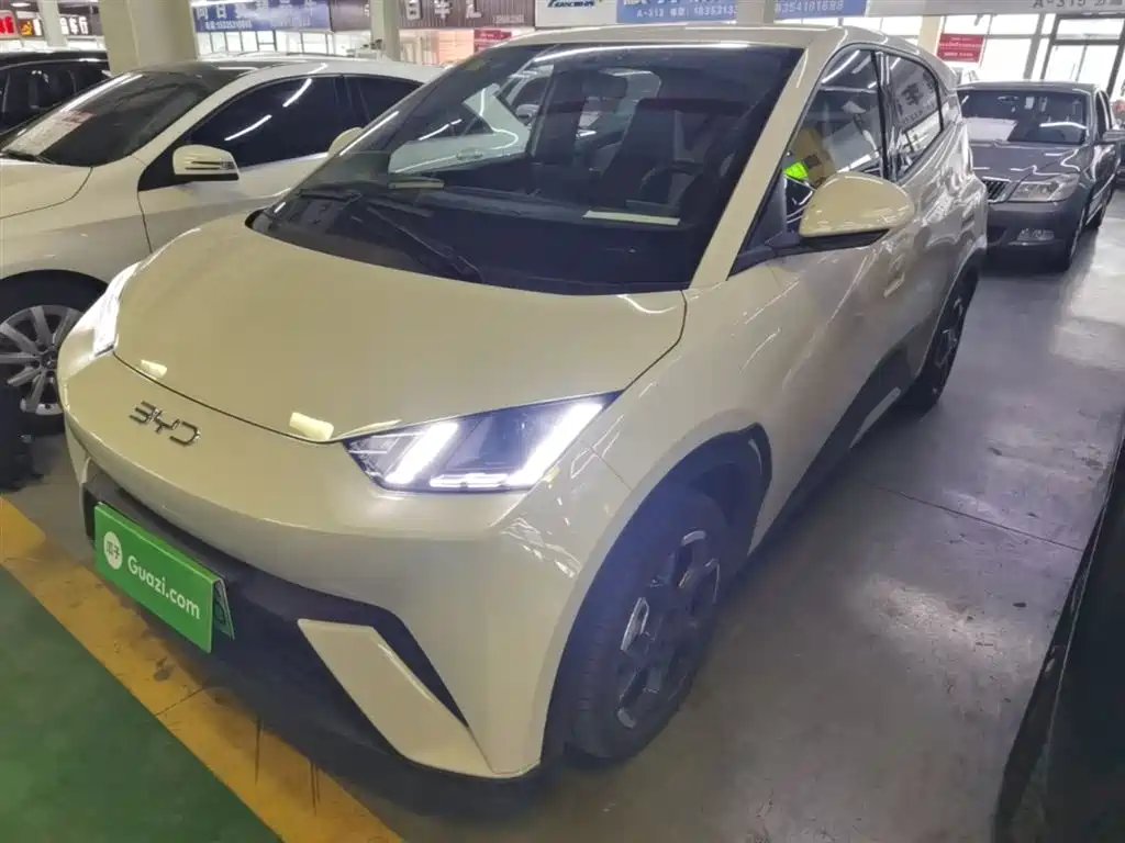 BYD Seagull 2025