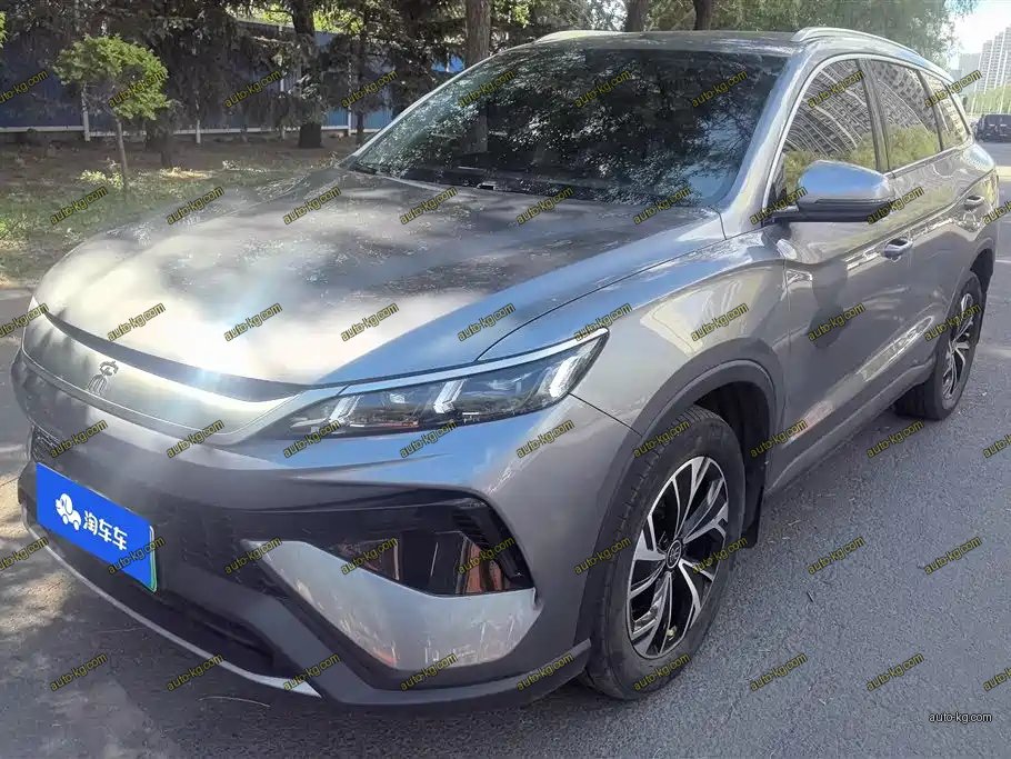 BYD Pro New Energy 2024