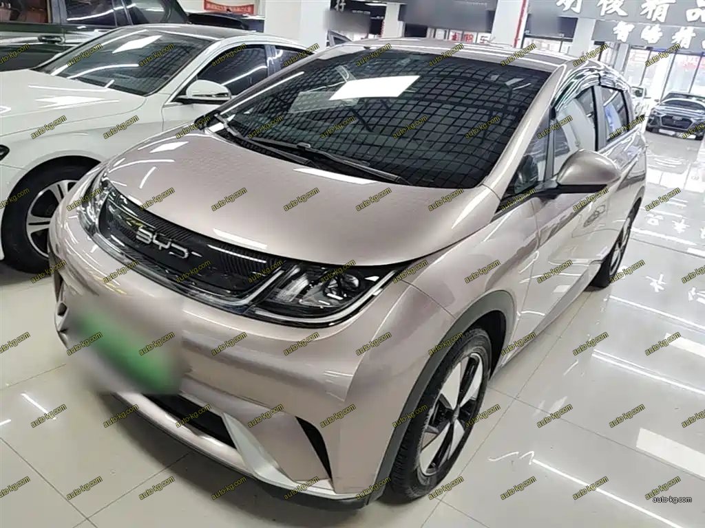 BYD Dolphin 2023