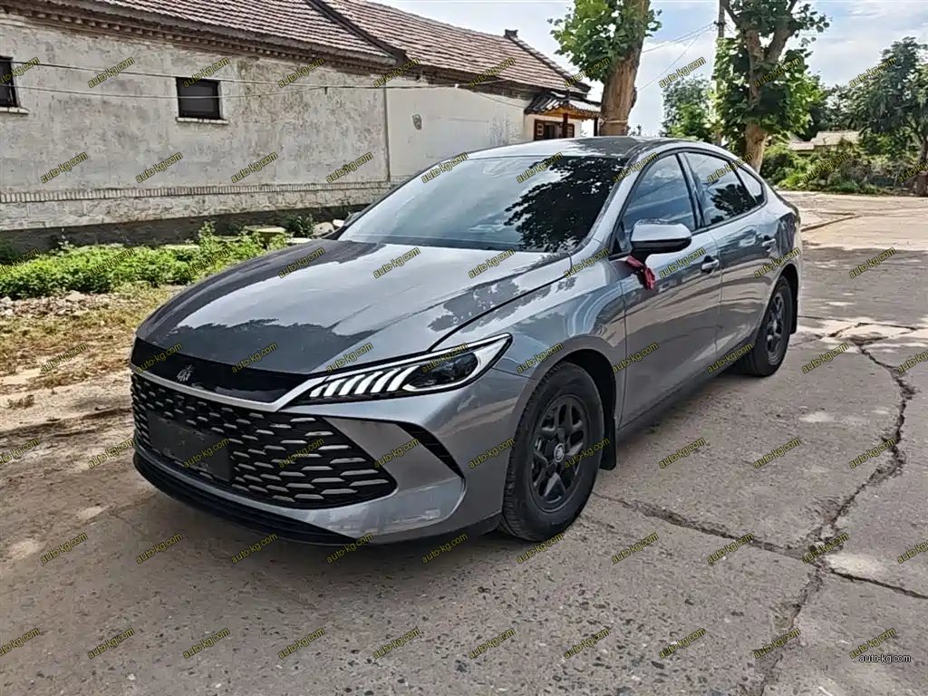 BYD Qin PLUS 2025