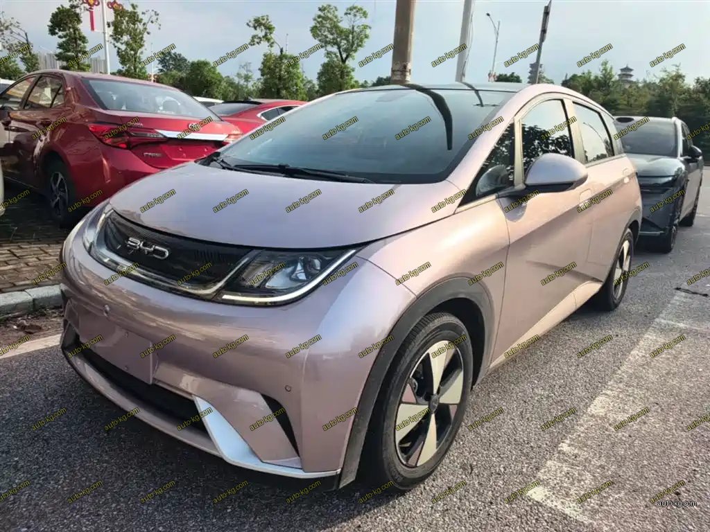BYD Dolphin 2023