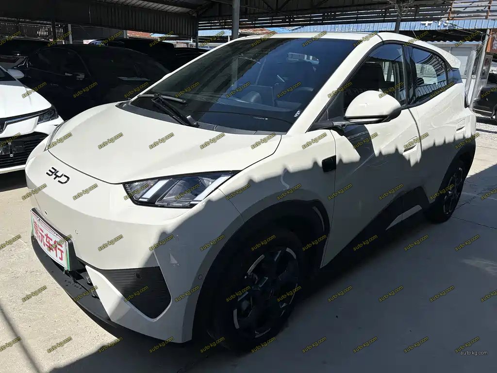 BYD Seagull 2026