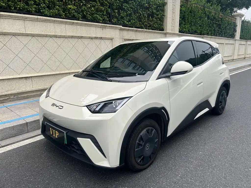 BYD Seagull 2024