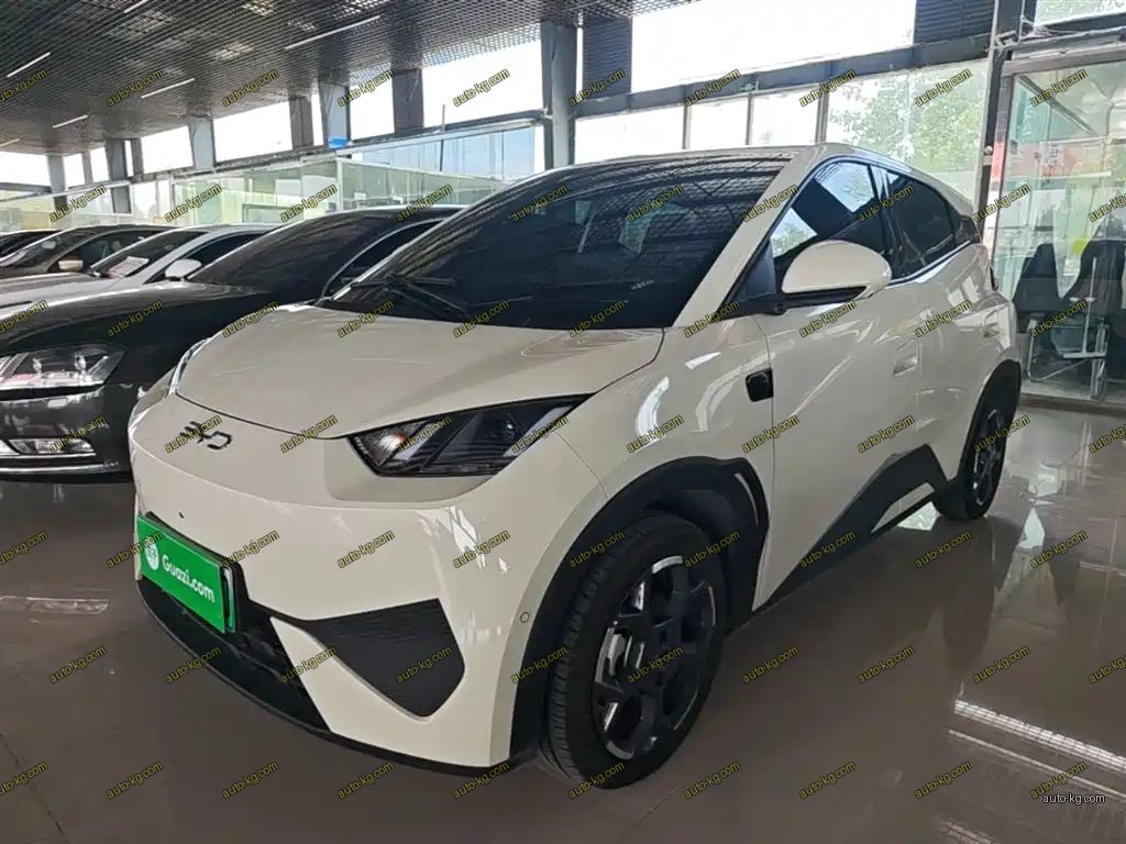 BYD Seagull 2026