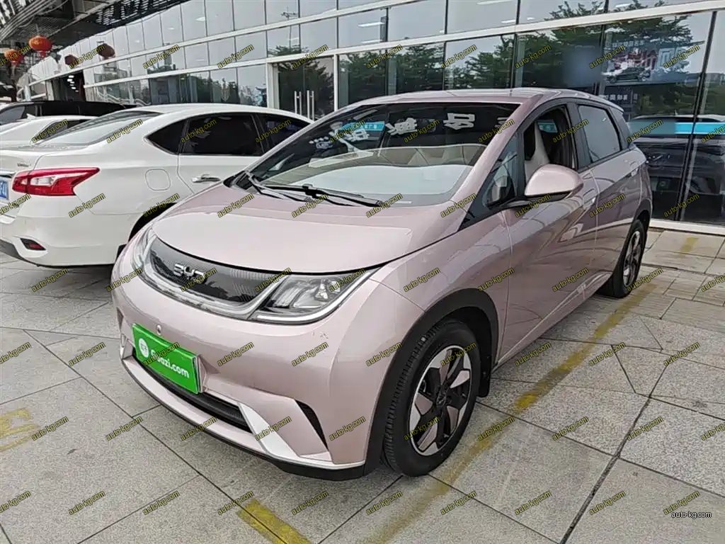 BYD Dolphin 2024