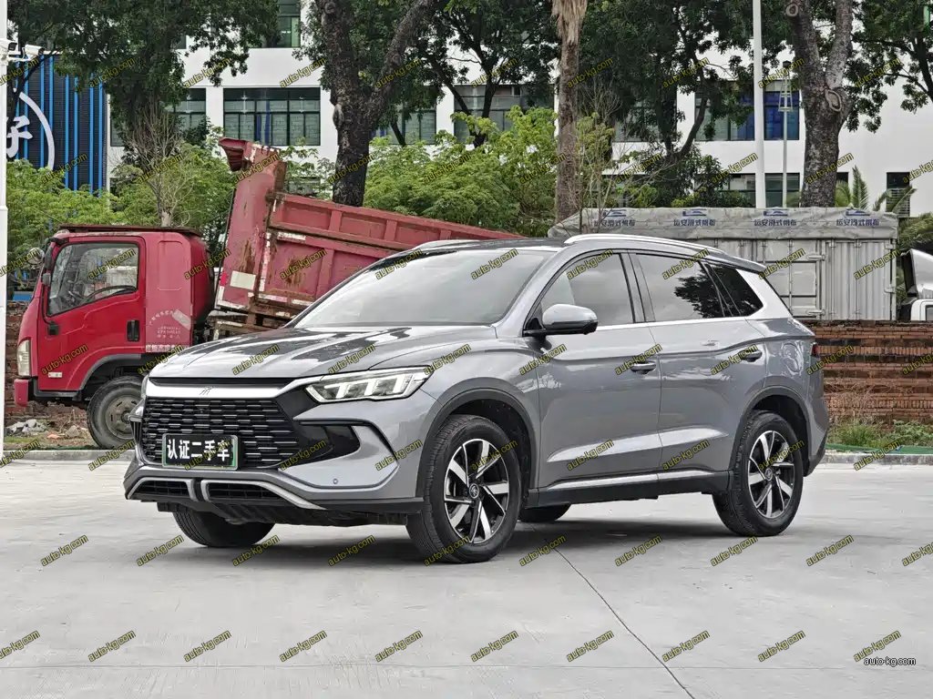 BYD Pro New Energy 2024