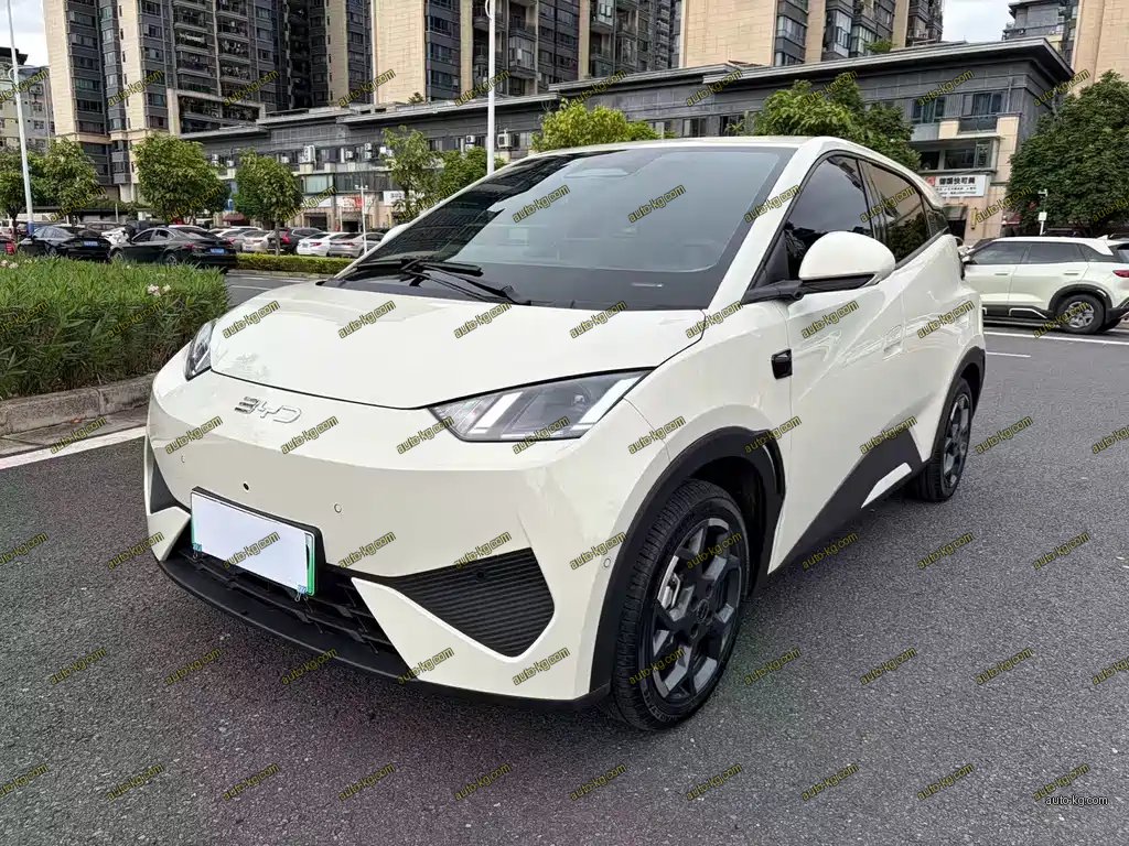 BYD Seagull 2025