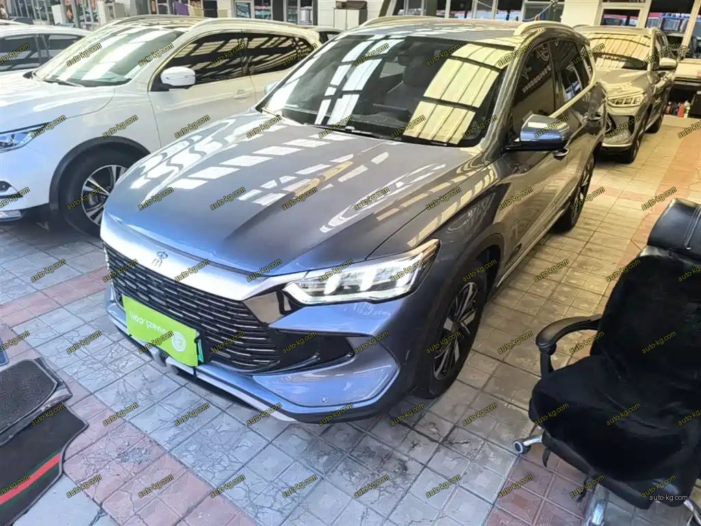 BYD Pro New Energy 2024