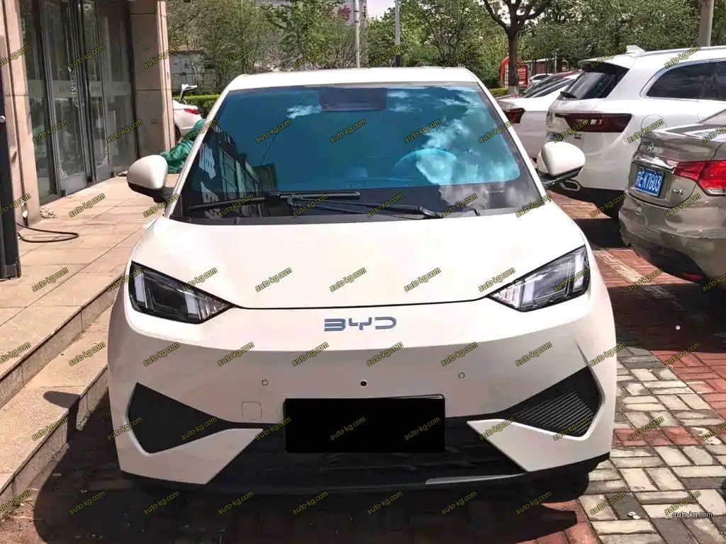 BYD Seagull 2026