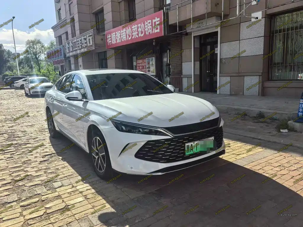 BYD Qin L 2024